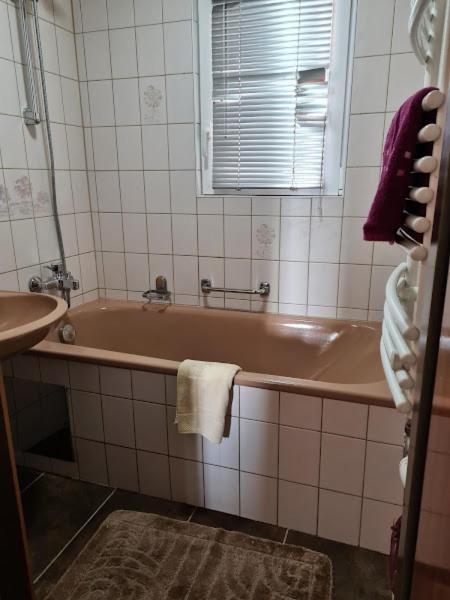 Alexandra Appartement Gersdorf Bagian luar foto